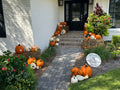 October Opulence