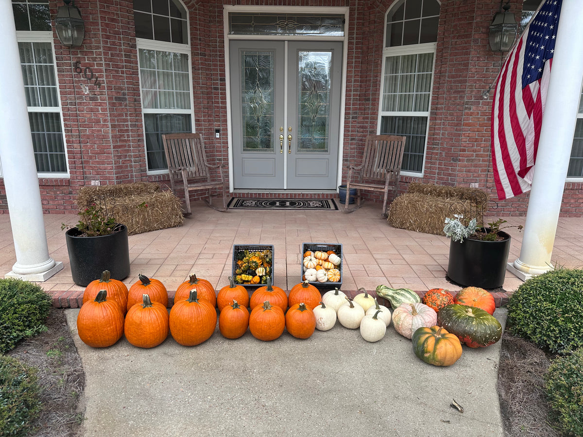 Harvest Harmony