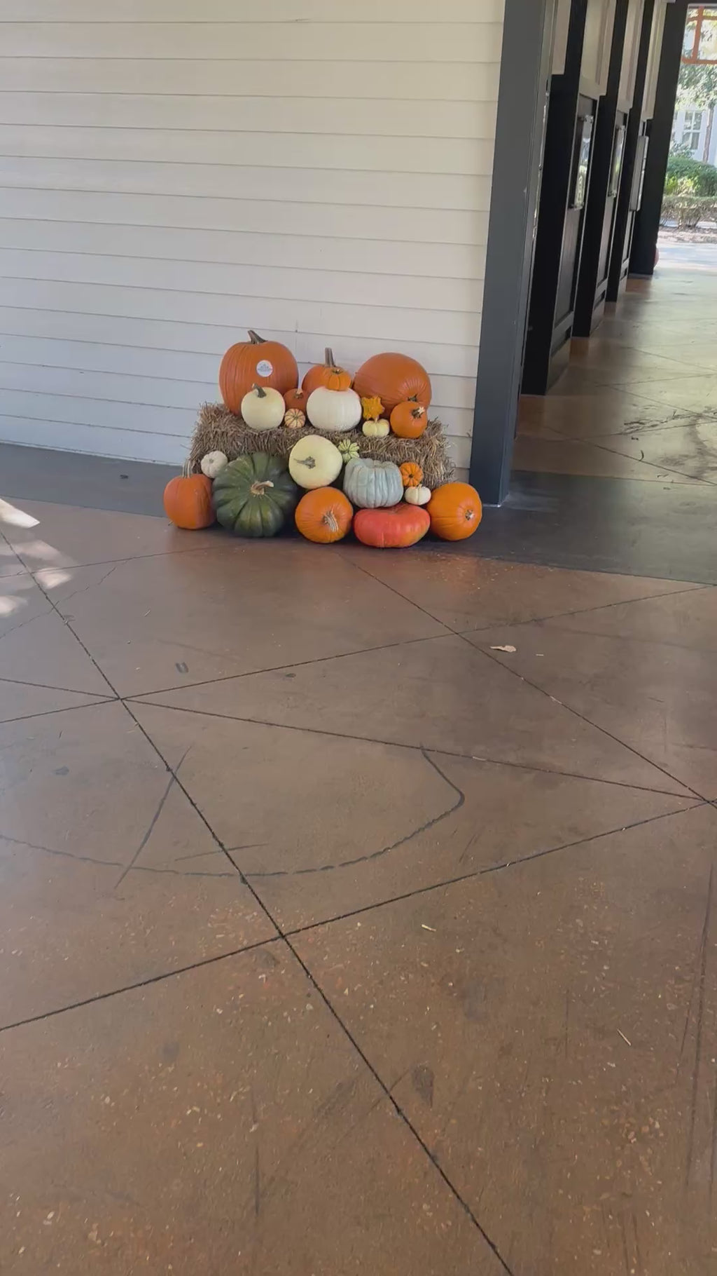 Gourd Grandeur